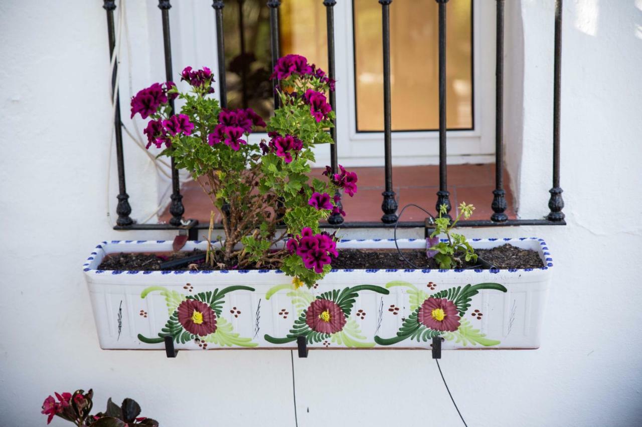 Fuego Blanco Bed and Breakfast Álora Exterior foto